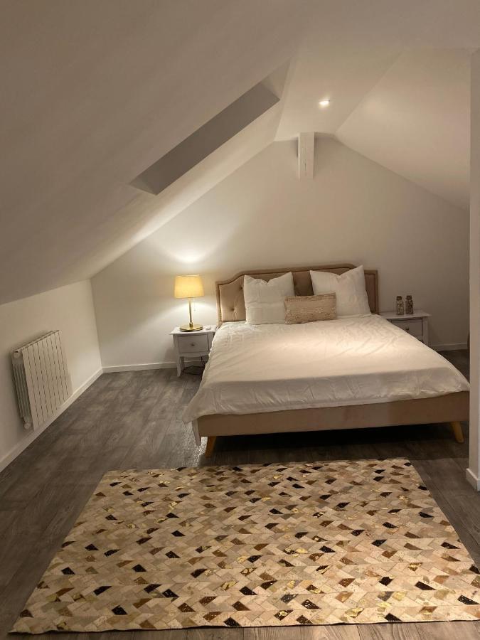 Le Duplex De L'Avenue Apartment Chalon-sur-Saone Bagian luar foto